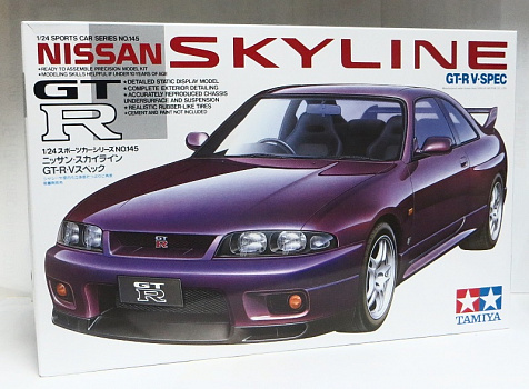 Nissan Skyline GT-R V/24145