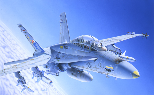 F/A-18C/D WILD WEASEL (1:72)/0016