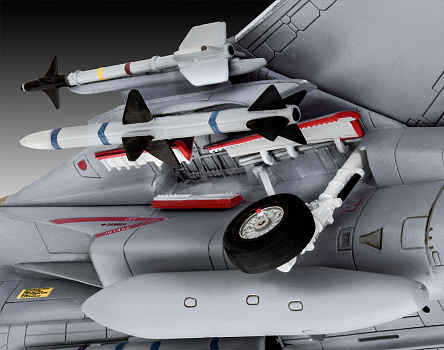  F-14D Super Tomcat/03960